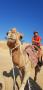gal/2018/15 Egypt 2018/_thb_20180807_163439.jpg